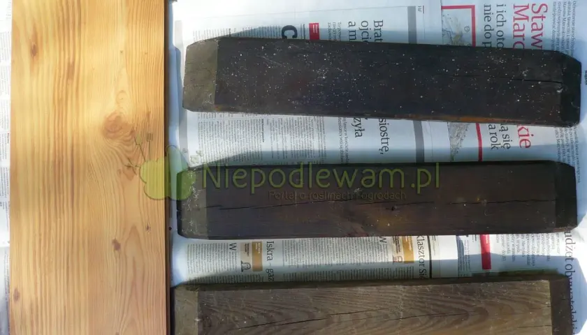 Stara drabina, nowy kwietnik: Zrób to sam krok po kroku!